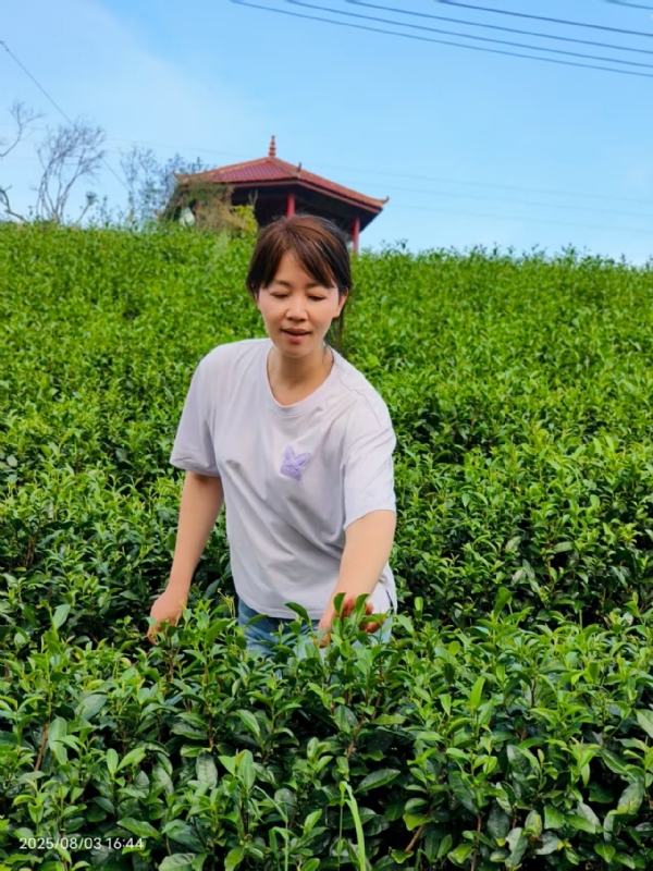 Q绮芳的第一张照片--莆田父母相亲团
